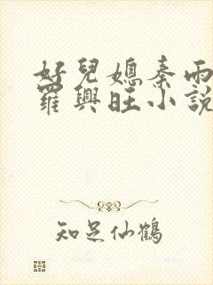 好儿媳秦雨罗明罗兴旺小说