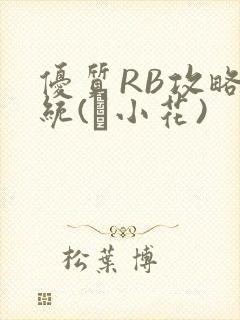 优质RB攻略系统(寀小花)封面