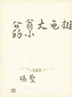 公翁大龟挺进我的小