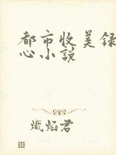 都市收美录宁素心小说封面