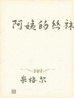 阿姨的丝袜小说