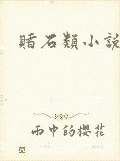 赌石类小说封面