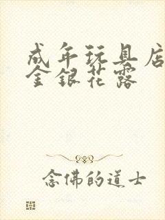 成年玩具店by金银花露封面