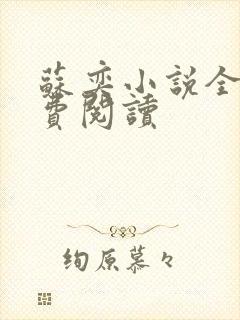 苏奕小说全文免费阅读封面