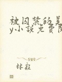 被囚禁的美人by小说免费阅读