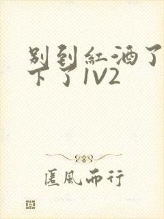 别到红酒了装不下了1V2