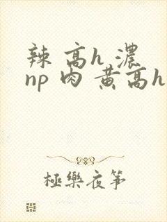 辣 高h 浓 np 肉 黄高h