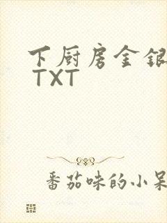 下厨房金银花露 TXT封面