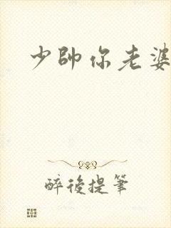 少帅你老婆