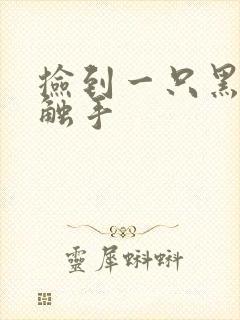 捡到一只黑心小触手