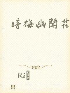 暗梅幽闻花封面