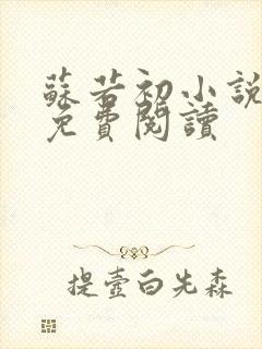 苏若初小说全文免费阅读