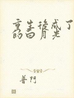 重生后成了皇帝的白月光