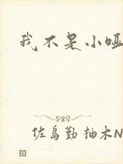 我不是小哑巴封面