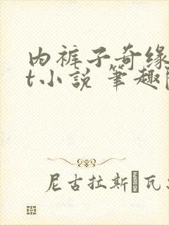 内裤子奇缘txt小说 笔趣阁