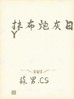 抹布炮灰日记BY