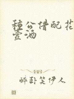 种公借配花间一壶酒