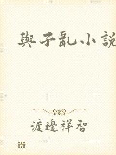 与子乱小说