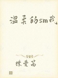 温柔的sm我