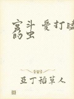 宫斗 爱打瞌睡的虫封面