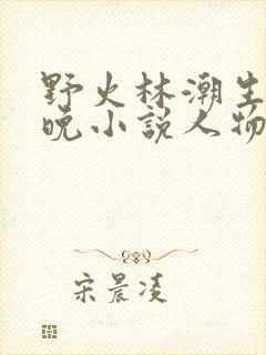 野火林潮生林晚晚小说人物野火封面