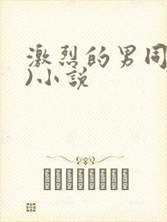 激烈的男同(h)小说