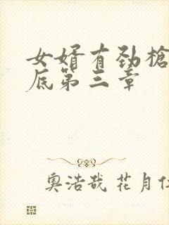 女婿有劲枪枪到底第三章