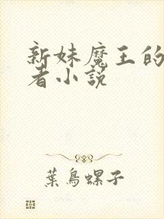 新妹魔王的契约者小说