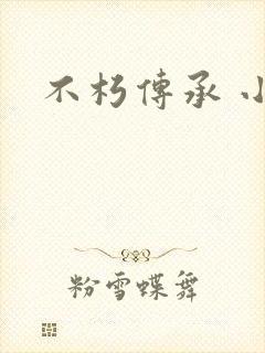 不朽传承 小说封面