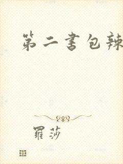 第二书包辣文
