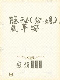 隐秘(公媳)岁岁平安封面