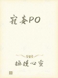 宠妾PO