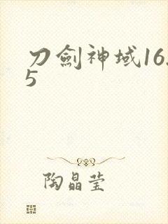 刀剑神域16.5