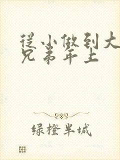 从小做到大骨科兄弟年上封面