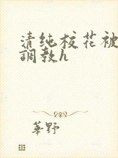 清纯校花被地狱调教h封面