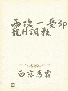 两攻一受3p双龙H调教