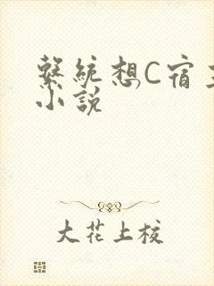 系统想C宿主的小说