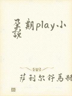 孕期play小说