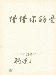 借借你的爱封面