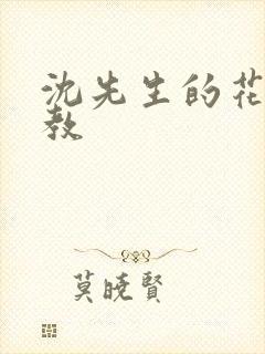 沈先生的花式管教