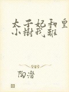 太子妃和皇上在小树我离封面