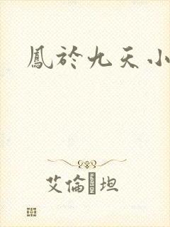 凤于九天小说