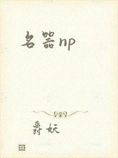 名器np