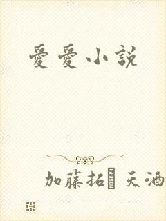 爱爱小说