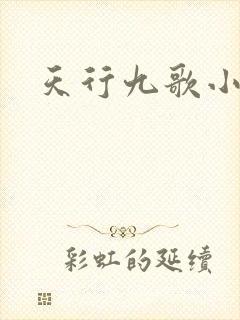 天行九歌小说