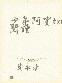 少年阿宾txt阅读