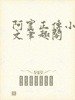 阿宾正传小说全文笔趣阁封面