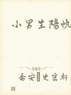 小男生阳帆封面