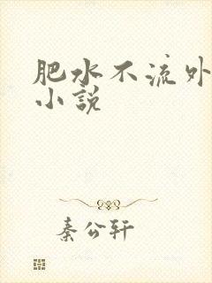 肥水不流外人田小说