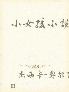小女孩小说封面